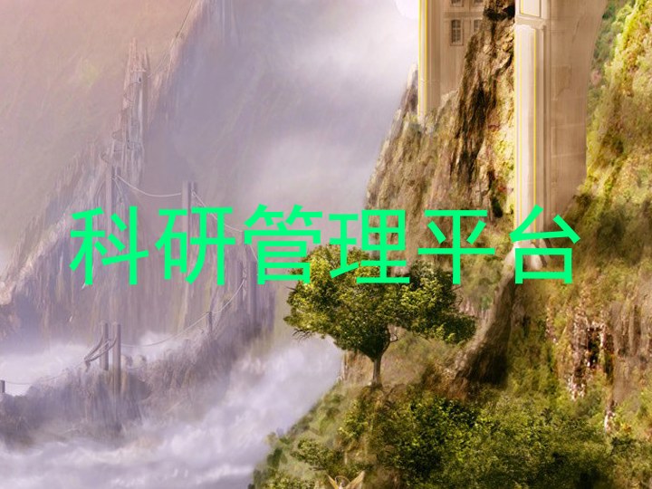 科研管理平台