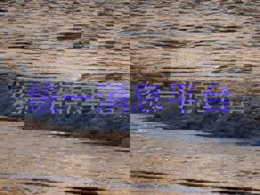 统一消息平台