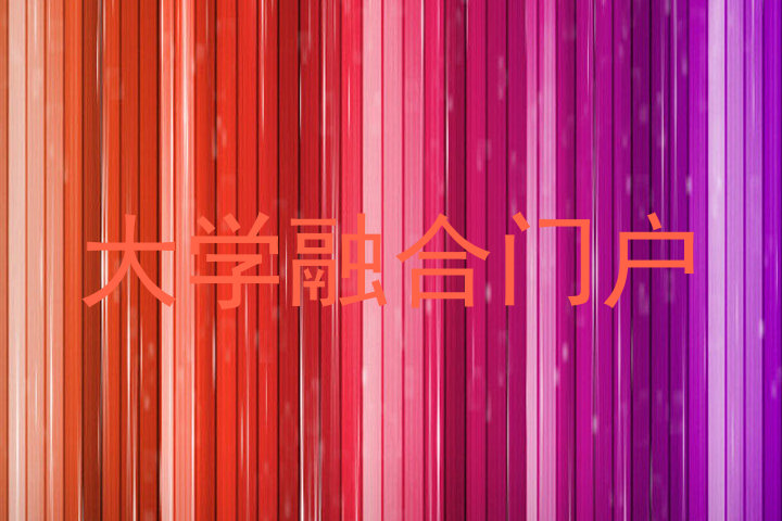 大学融合门户