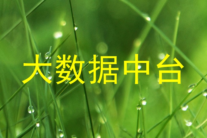 大数据中台