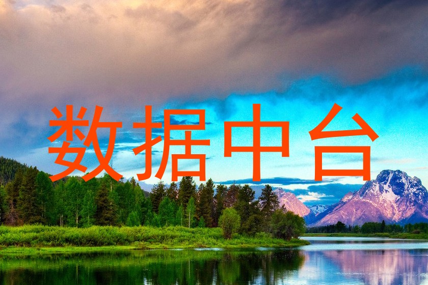 数据中台