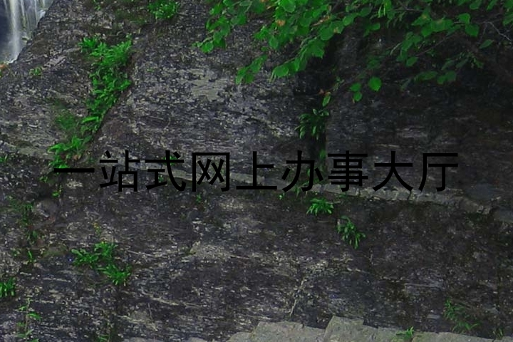 一站式网上办事大厅