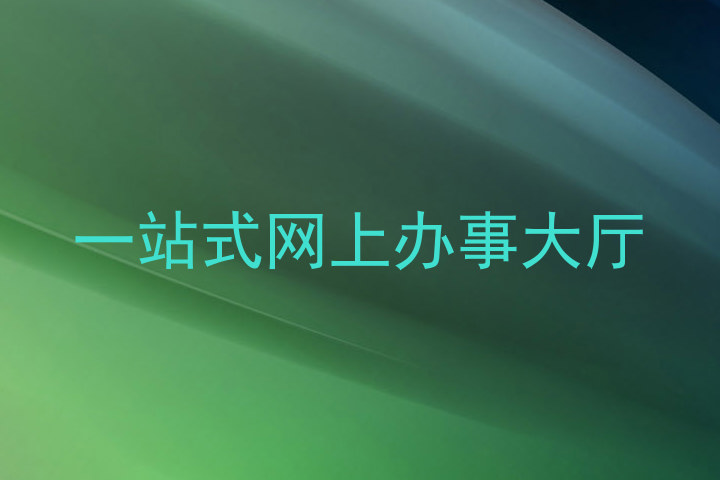 一站式网上办事大厅