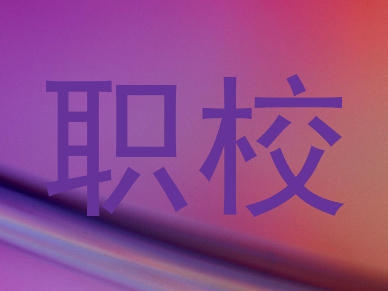 职校
