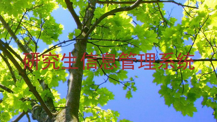 研究生信息管理系统