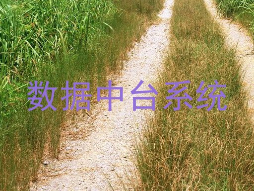 数据中台系统