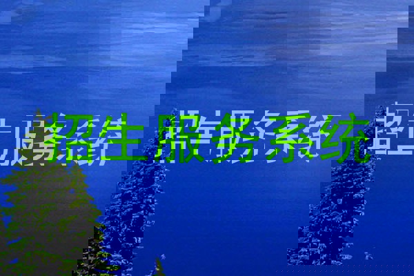 招生服务系统