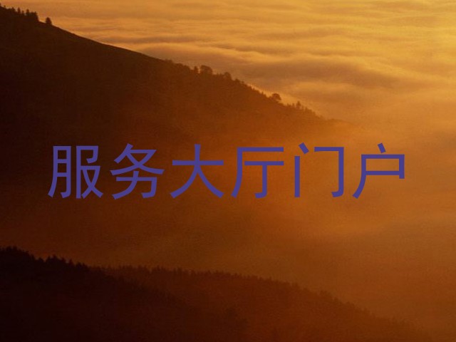 服务大厅门户