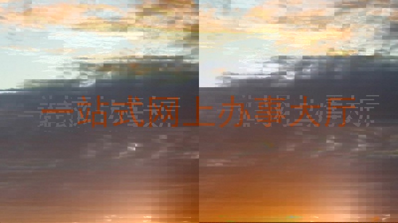 一站式网上办事大厅
