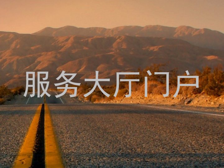 服务大厅门户