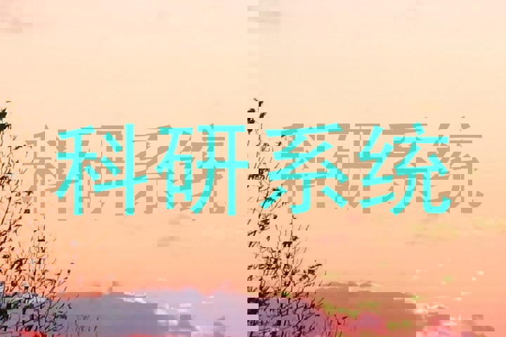科研系统