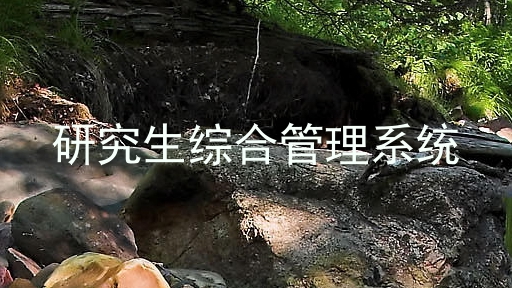 研究生综合管理系统