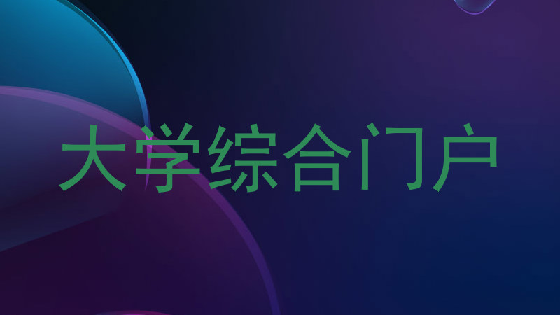 大学综合门户