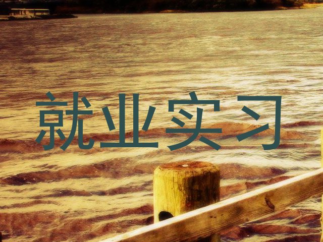 就业实习
