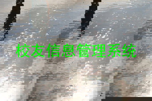 校友信息管理系统