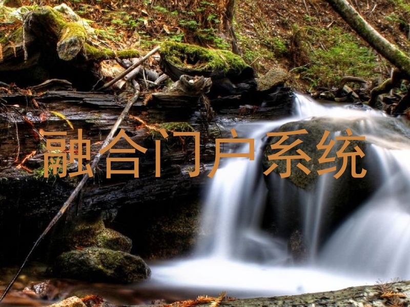 融合门户系统