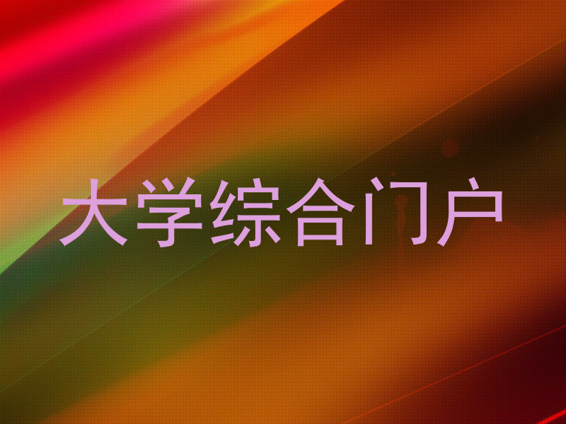 大学综合门户