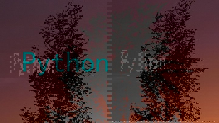 Python