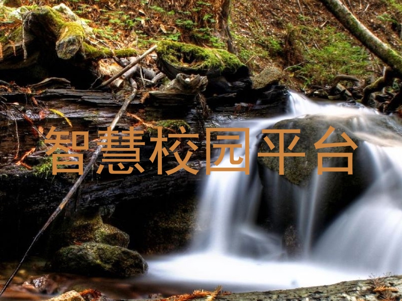 智慧校园平台