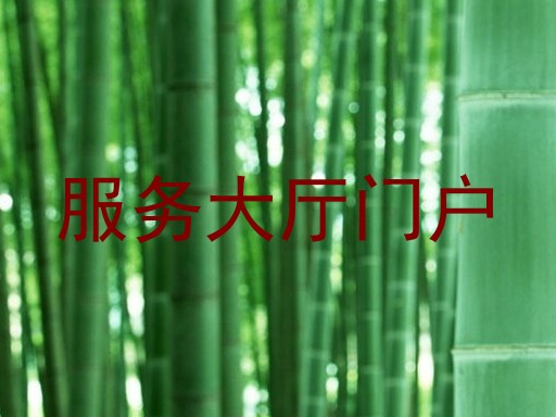 服务大厅门户