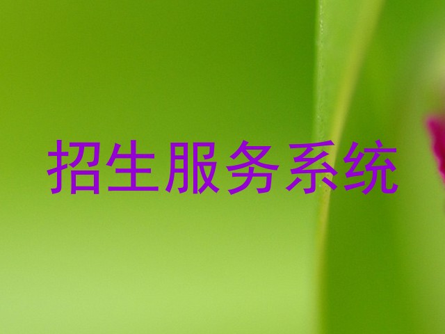 招生服务系统