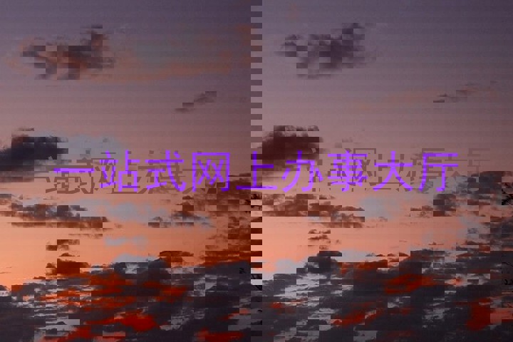 一站式网上办事大厅