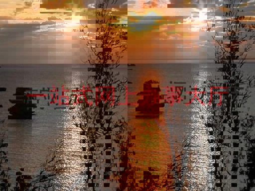 一站式网上办事大厅