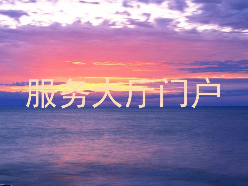 服务大厅门户
