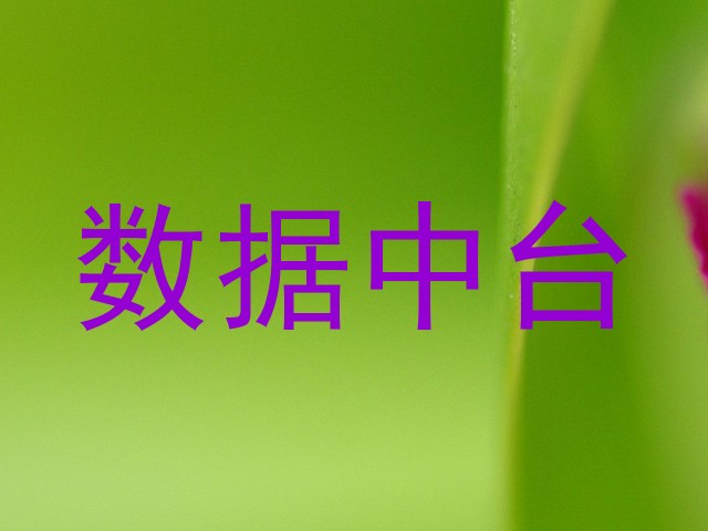 数据中台
