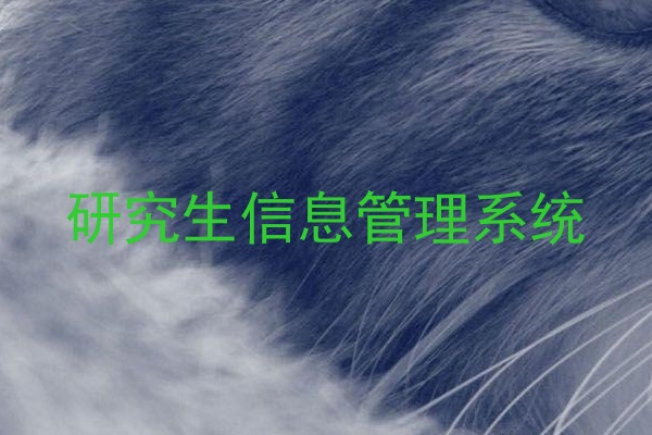 研究生信息管理系统
