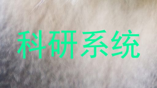 科研系统