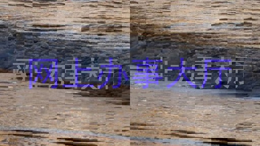 网上办事大厅