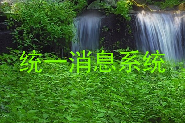 统一消息系统
