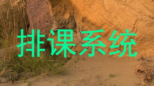 排课系统