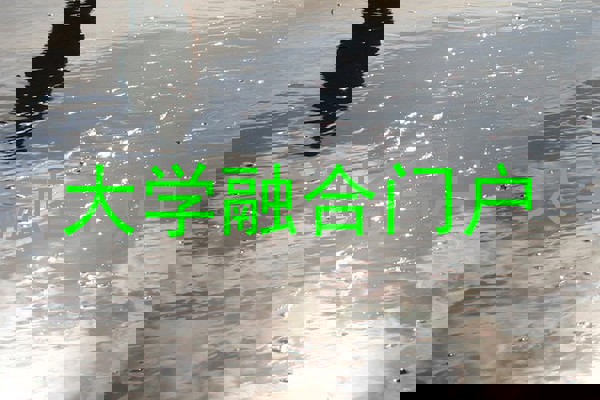 大学融合门户
