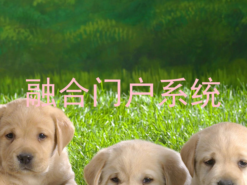融合门户系统