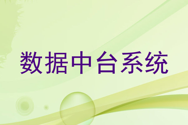 数据中台系统