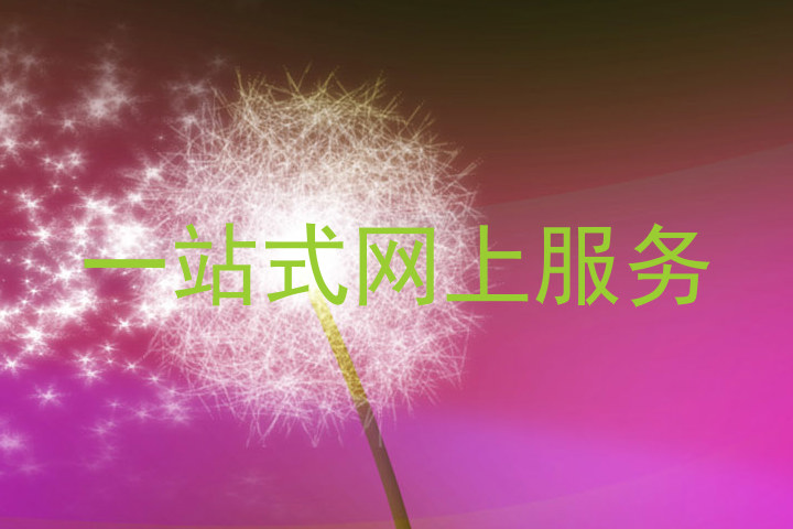 一站式网上服务