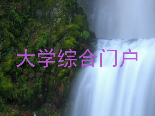 大学综合门户