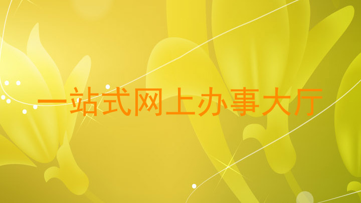 一站式网上办事大厅