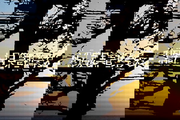 科研成果管理系统