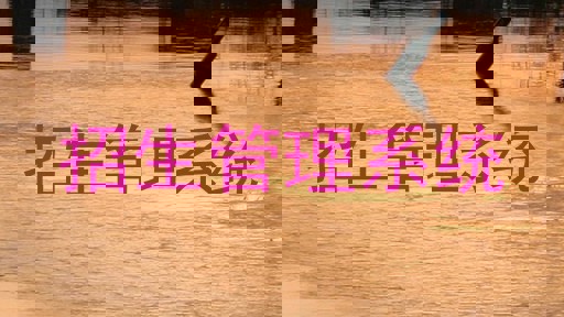 招生管理系统