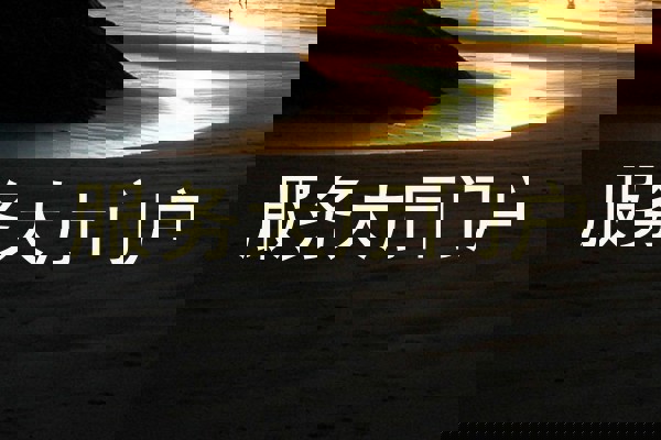 服务大厅门户