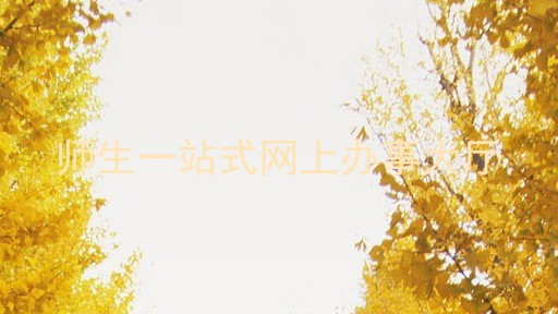 师生一站式网上办事大厅