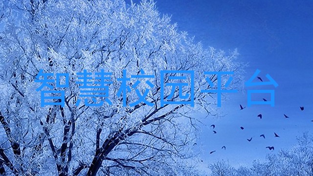 智慧校园平台