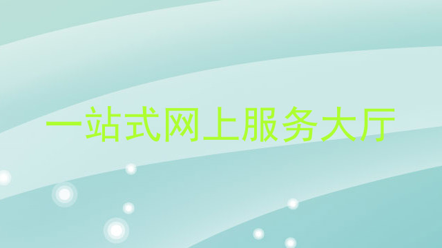 一站式网上服务大厅