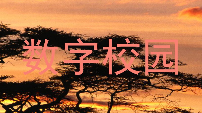 数字校园