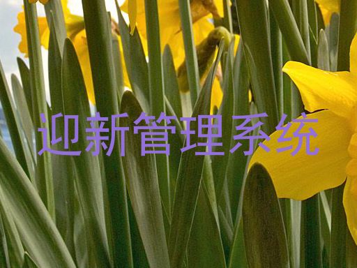 迎新管理系统