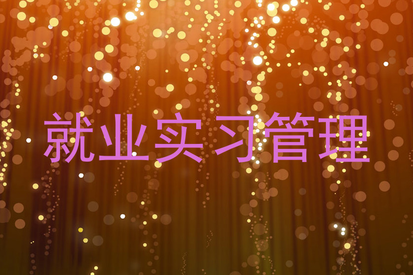就业实习管理
