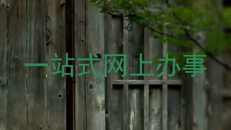 一站式网上办事